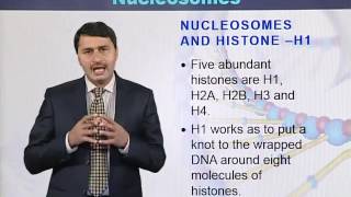 BIO502_Topic021