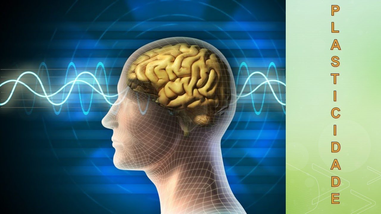 O QUE É PLASTICIDADE CEREBRAL? #NEURONIOS #NEROCIÊNCIA #CEREBRO - YouTube