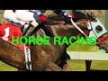 What Are The Most Popular Horse Sports