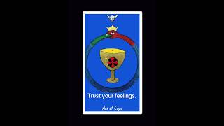 Ace of Cups.Trust your feelings.  #tarot #dailytarot #tarotreading #pickacard