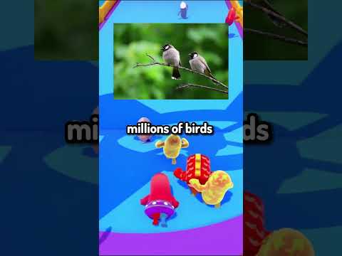 Facts You Didn T Even Know 