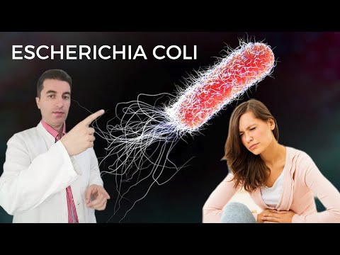 Video: Je li e coli sepsa?