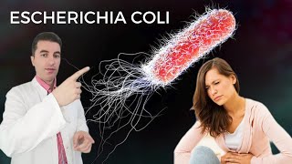 ESCHERICHIA COLI INFEKCIJA - uzroci, simptomi, komplikacije...