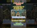 【ゴールドタイガー】その人気の秘密を徹底的に深掘る！ #militaria1911 #ミリタリー #タイガーストライプ #ゴールドタイガー #古着