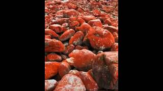 Meet the red-colored rocks in the riverbed