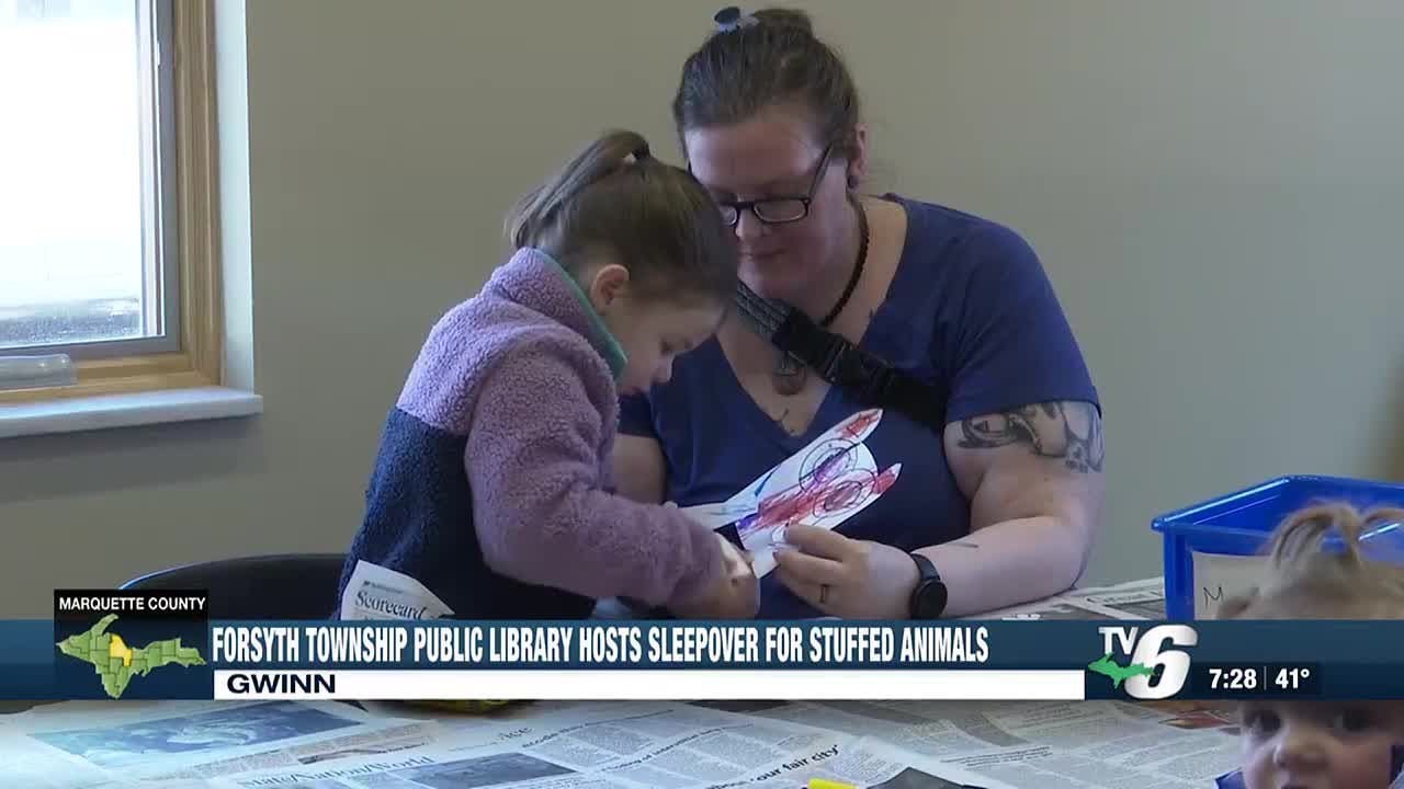 Forsyth Township Public Library hosts sleepover for stuffed animals