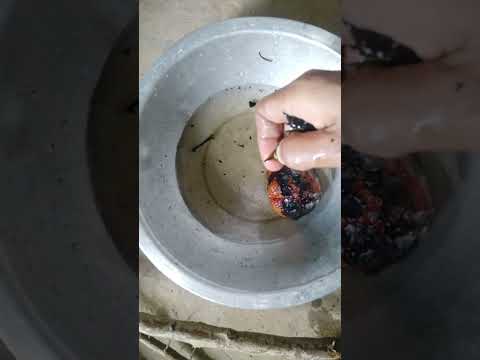 Yes It S My Busy Life 