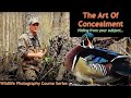 The Art Of Concealment - Wild Photo Adventures