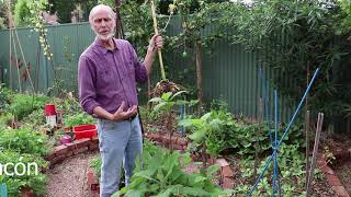 SUSTAINABLE GARDEN TOUR