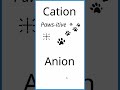 Understanding Anions and Cations