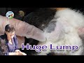 Guinea pig enormous sebaceous cyst on her rump - can we help her