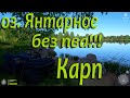 Русская рыбалка 4 - Фарм - оз.Янтарное без пва - карп