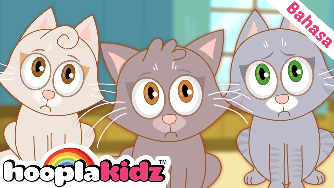 3 Anak Kucing Kecil + Lagu Anak Anak - HooplaKidz Bahasa Indonesia