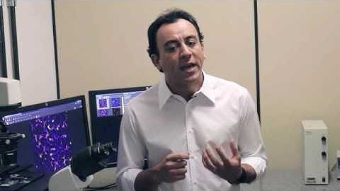 Combination of Mass Cytometry and Imaging Analysis Reveals Origin, Location, and...