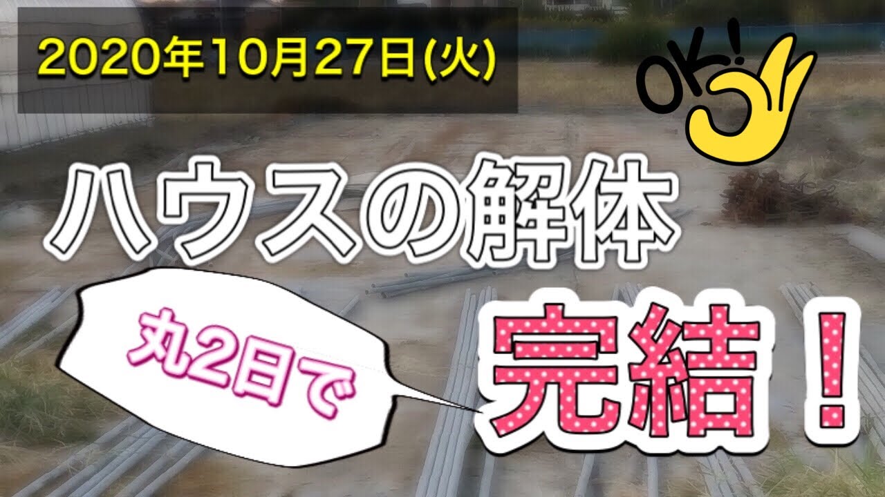 超簡単②】ハウスの解体続き。6×30mのハウスが2日で解体できました