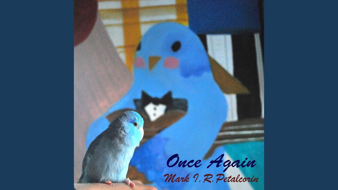 Love Covers Them All YouTube