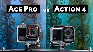 Insta360 Ace Pro vs DJI Osmo Action 4 Underwater Video Comparison