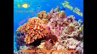Boston Reefers Society Presents Crazy Corals Tour