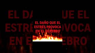 El Daño que el Estrés Provoca en el Cerebro #estrés