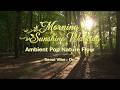 [Playlist] Morning Sunshine Walking 🌿 | 햇살 가득한 아침 산책, 앰비언트 팝 [ Seoul Vibe : On ]