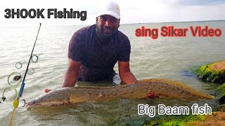 Biggest Big Indian Eel fish catching || Big Indian Baam Fishing Techniques || FISHING VIDEOS