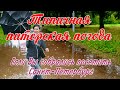 Типичная питерская погода