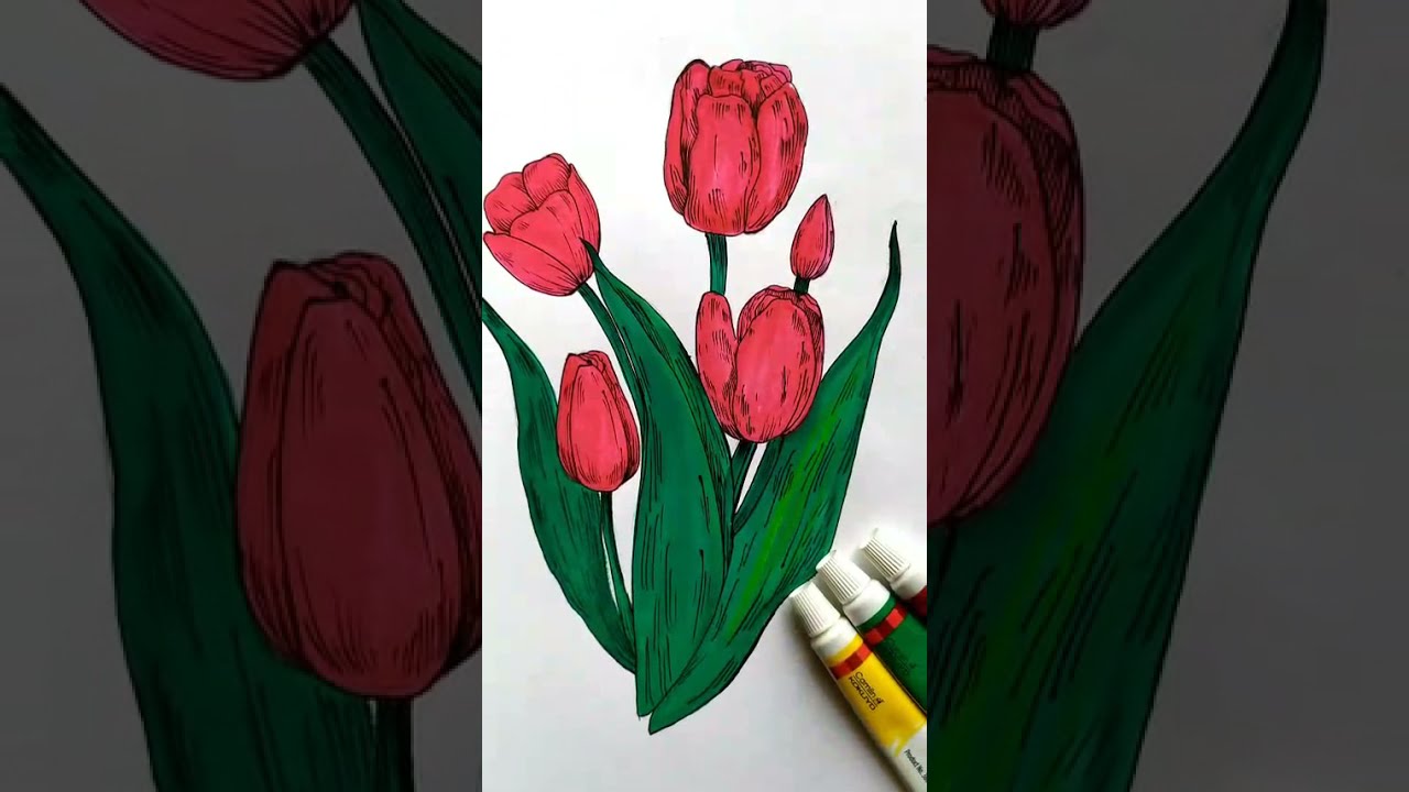 How to draw Tulip flower easy | flower painting 