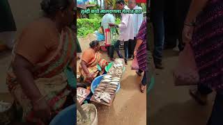 तुम्ही कधी मालवणला गेलात का? # #kokankanyasuchita #viral #malvan #kokanvlog #village #trending #yt