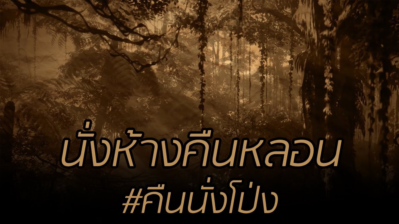 นั่งห้างคืนหลอน