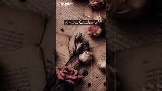Urdu poetry #Aaaf #poetry #poetrylovers #youtubeshorts