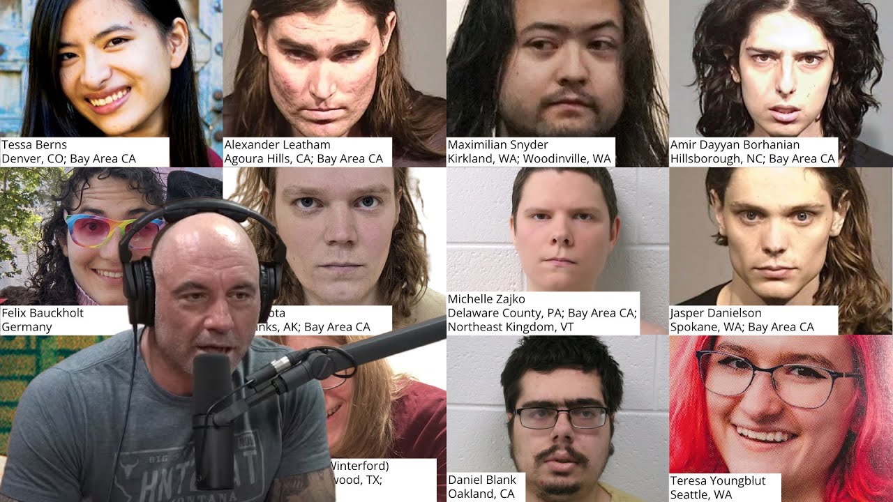 Joe Rogan Learns About Andy Ngo's Reporting on Trans Death Cult