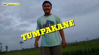 Pacarmu Ngganteng Sugeh Tumpakane Ngene!!! Versi Truck Mozzah Full Oleng