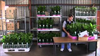 Biosecure Haccp End Point Despatch Inspection Procedure