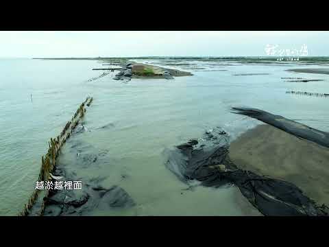 【#預告 留沙 七股潟湖延壽記│830(一)晚間十點│公視我們的島】