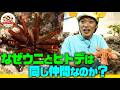 【棘皮動物】なぜウニ、ヒトデ、ナマコは同じ仲間なのか!?肛門に歯が5本？管足がある？専門家がさかなクンに解説【どうぶつ奇想天外／WAKUWAKU】