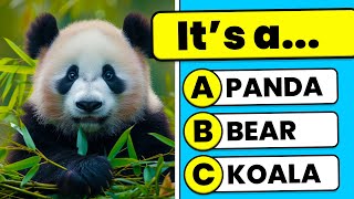 General Knowledge Quiz  Animals Edition  | Easy, Medium, Hard, Impossible