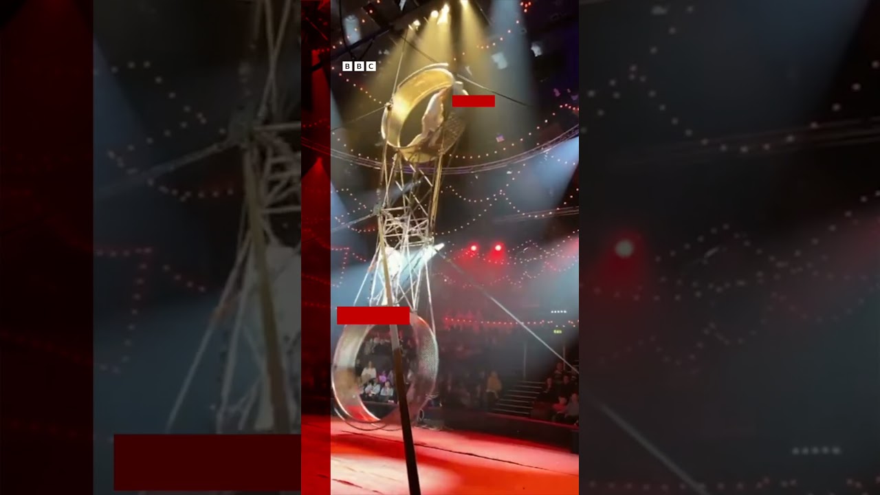 Circus performer falls from 'wheel of death'. #Circus #CircusPerformer #Shorts #BBCNews