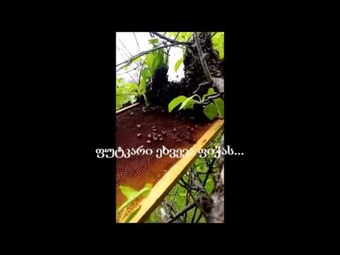 ნაყარის დაბინავება