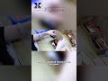 From Factory to Pack: Full Process