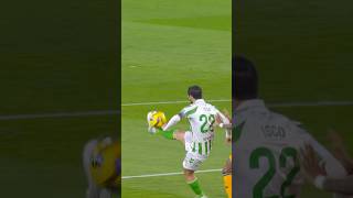 ISCO turi magnetą ant kojos 🧲