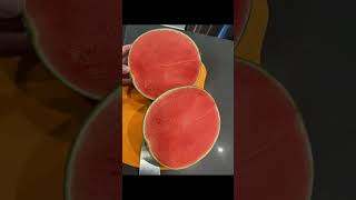 Satisfying Photos Part 13 #shorts