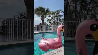 ✨ Sunset to Starlight on the River 🌅🌙 ✨ Sunset to Starlight on the River 🌅🌙