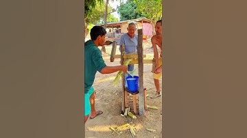 Traditional Hand Juicing – Wooden Sugarcane Juicer in Action! #farmer #tools #funny