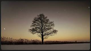 Düş Sokağı - İyi Ki Gittin