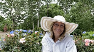 Cape Cod Cottage Garden