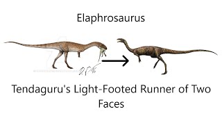 Elaphrosaurus: Tendaguru's Light-Footed Lizard of Two Faces | Creature Profile
