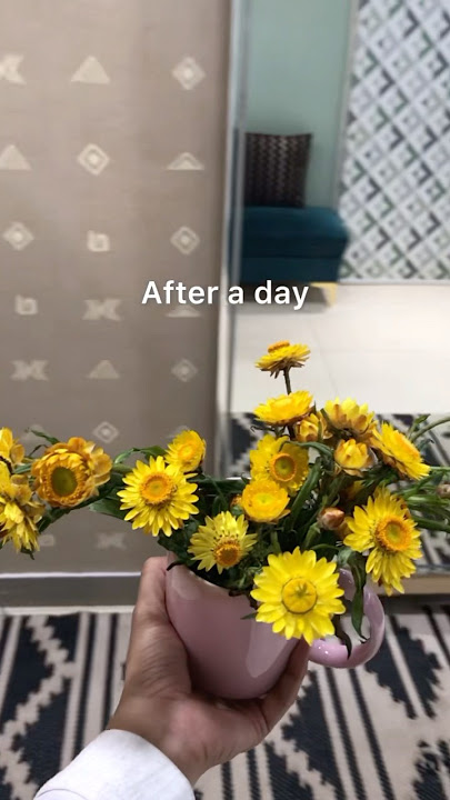 Download lagu Ooty poo #meharbaan #song #hindisong