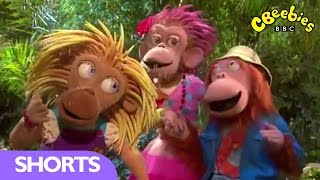 Zingzillas Will It Snow On Zingzilla Island? - Cbeebies