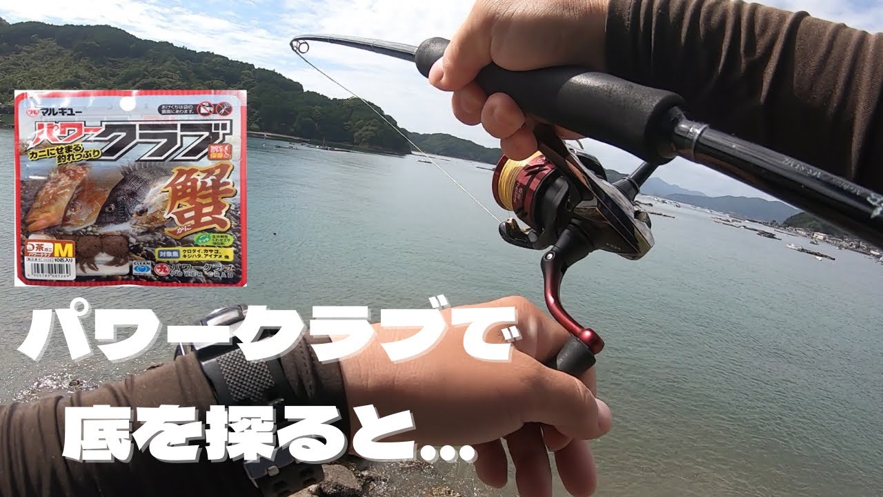 ジグヘッドにパワークラブ着けて底を探ってみたら…