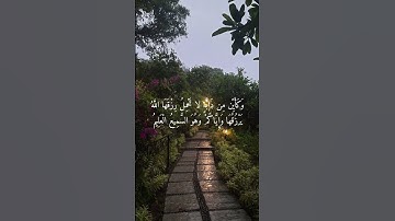 سورة العنكبوت الآية ٥٩-٦٠/ Surah Al-Ankabut, verses 59-60